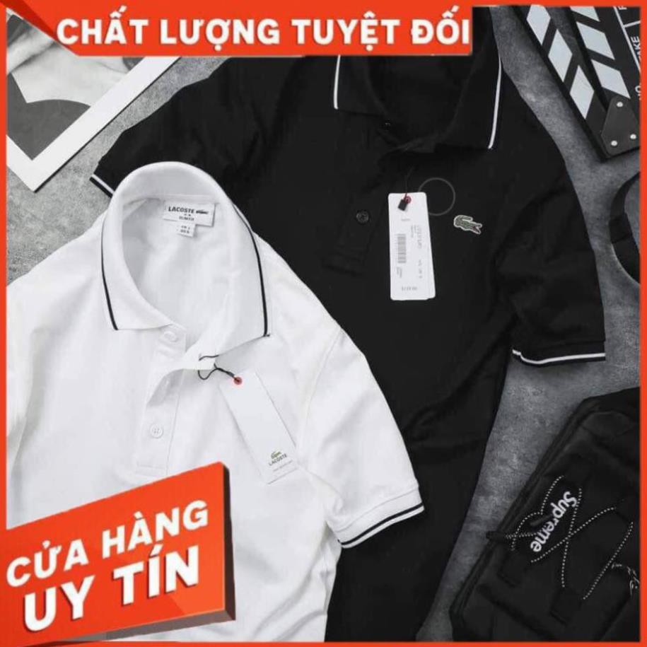 Áo thun trơn Lacoste