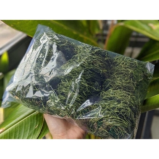 Mì cải kale hữu cơ Isito