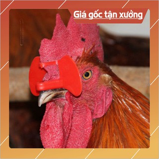 KÍNH KẸP CHO GÀ ĐÔNG TẢO BỘ 100 KÍNH
