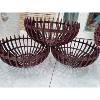 [Giá hủy diệt] chậu quả bí trồng lan đủ size