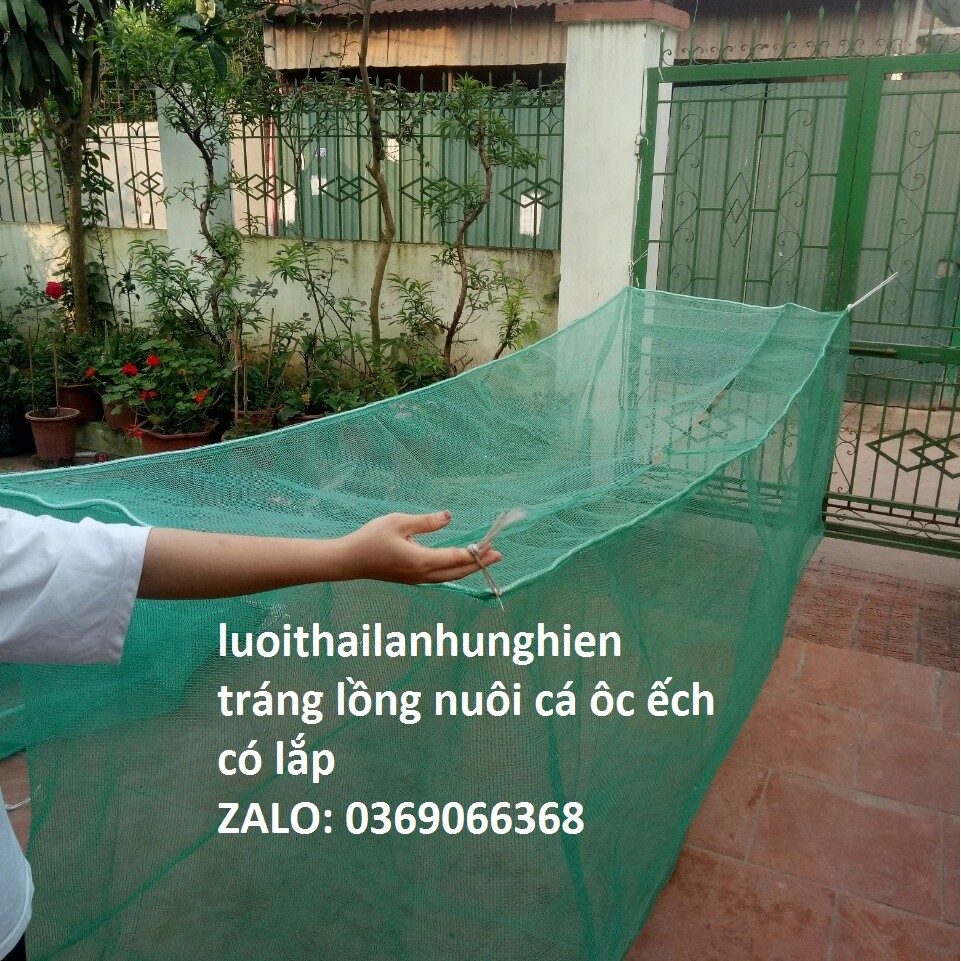 Tráng Nuôi Cá Hương cá tra, Dài 10 Rộng 4 Cao 1 Xung Quanh 2ly đáy 5ly Nuôi Cá Từ Nhỏ Tới To, Lưới Thái Lan