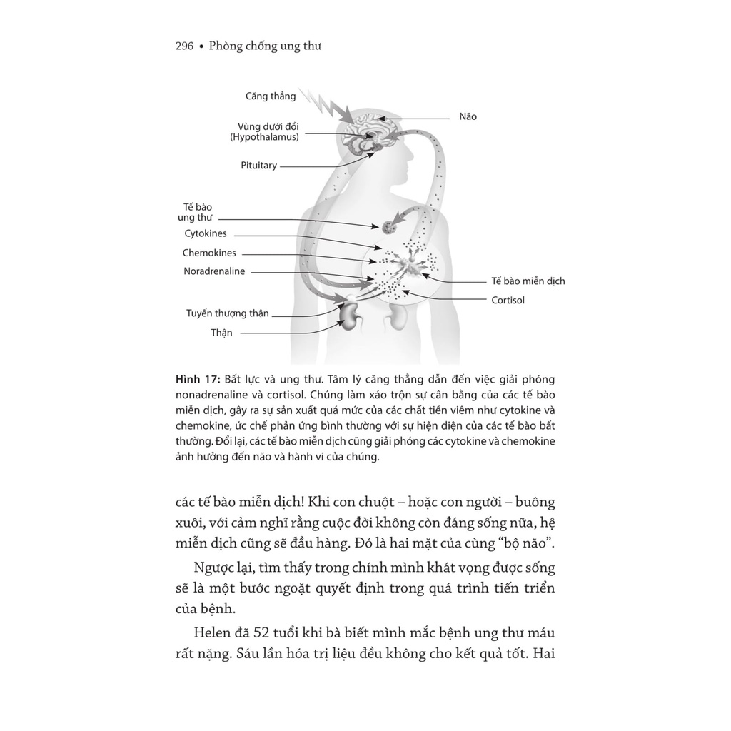 Sách - Y Học Sức Khỏe - Phòng Chống Ung Thư - David Servan, Schreiber