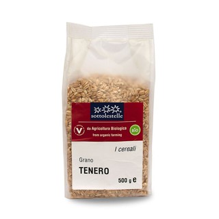Hạt lúa mì hữu cơ sotto 500g - cỏ lúa mì đỏ wheatgrass