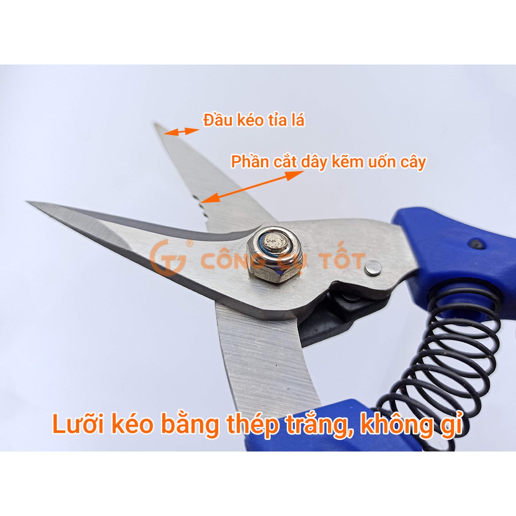 Kéo tỉa lá và cắt dây kẽm để uốn buộc cây cảnh 190mm bằng thép trắng cán nhựa xanh