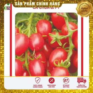 Hạt giống Cà Chua Bi Nhót 30 Hạt [Bán Sỉ]
