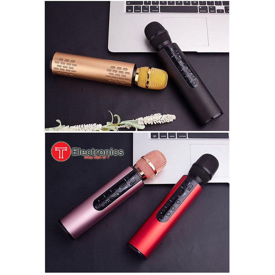 Micro Karaoke Loa Kép K3