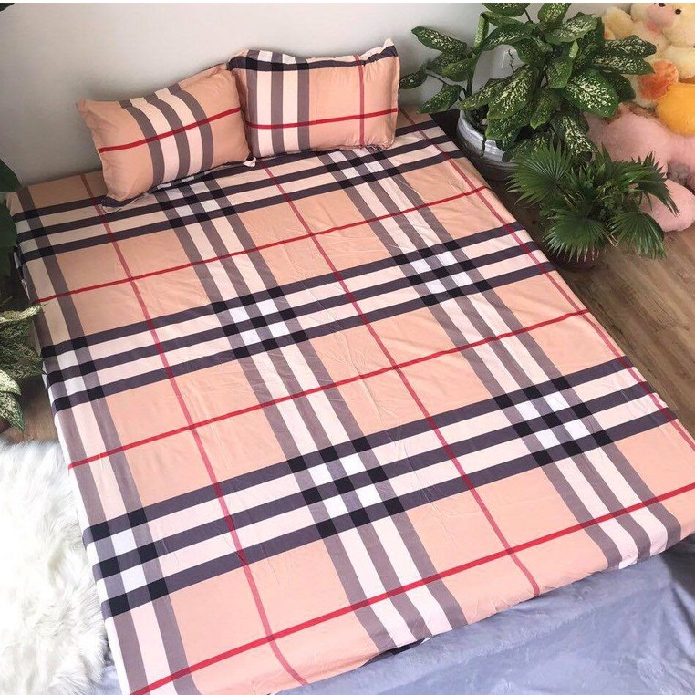 Sét Chăn hè ga gối Cotton Poly Emmidecor Mẫu Bucberi