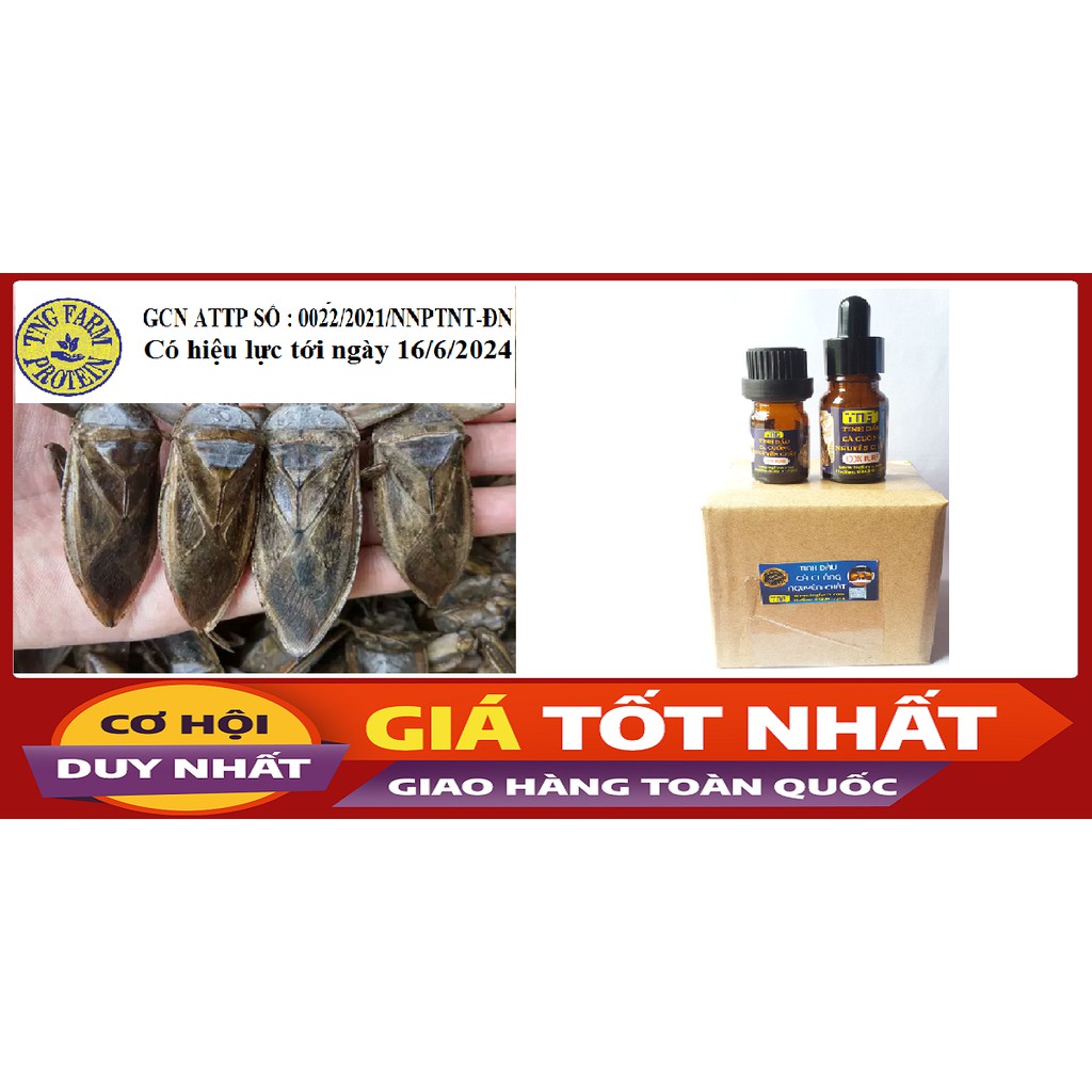 TINH DẦU [Mã TNGF01 NHẬN NGAY 10K] Cà cuống đực 100% nguyên chất - 2bọng. | BigBuy360 - bigbuy360.vn