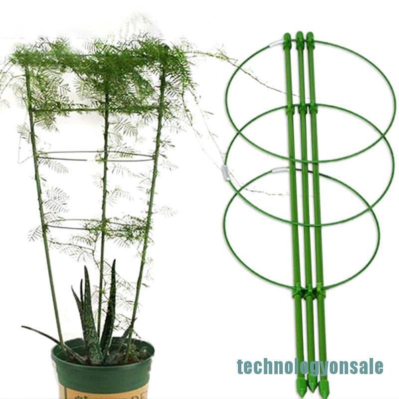 Khung Hỗ Trợ Trồng Cây Leo Dài 60cm