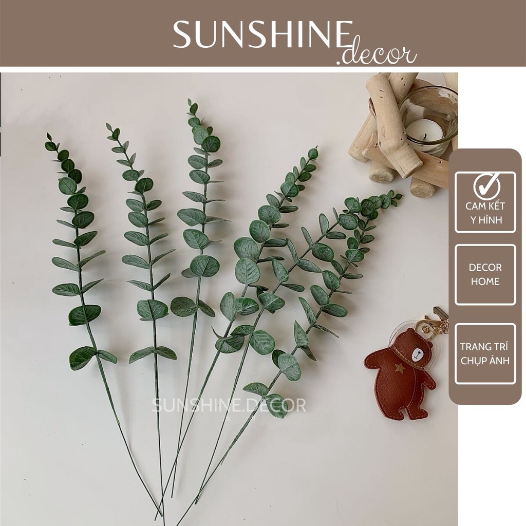 Lá bạch đàn lá khuynh diệp Eucalyptus decor trang trí chụp ảnh sản phẩm 38 cm