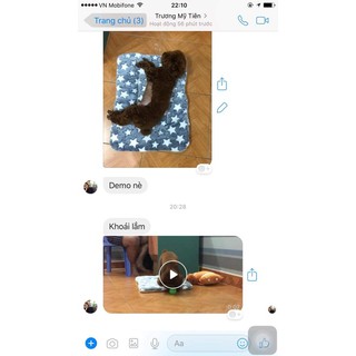 ĐỆM THẢM BÔNG CHO CHÓ MÈO