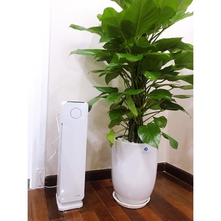 MÁY LỌC KHÔNG KHÍ KAROFI KAP-115