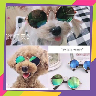Mắt Kính Cho Chó Mèo