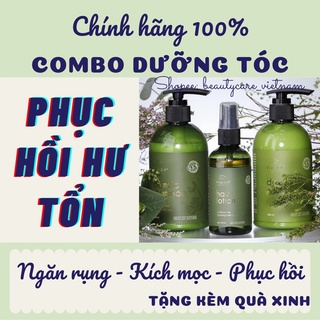 Combo phục hồi tóc cao cấp Vijully chính hãng, giảm rụng tóc, kích mọc tóc dài nhanh, siêu mượt, dưỡng tóc, chăm sóc tóc
