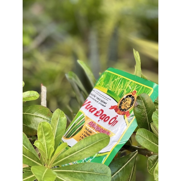 Giải pháp quản lý đạo ôn giai đoạn lúa nhỏ - Giúp lúa xanh bóng và sạch đẹp