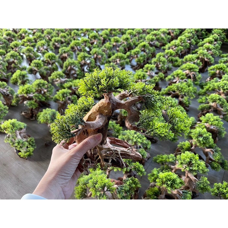 Lũa Bonsai Gắn Rêu - Bonsai Rêu Nhựa Trang Trí Hồ Cá, Thuỷ Sinh