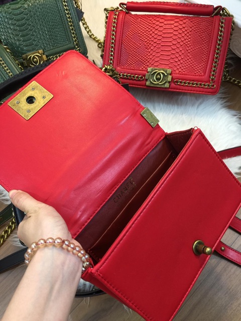 CN RẮN VIỀN XÍCH