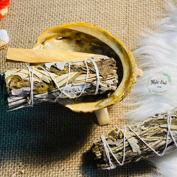 SAGE May Mắn, Bó Xô mix YEBRA SANTA, Xô Thơm Xanh, Xô Thơm Trắng loại 10cm