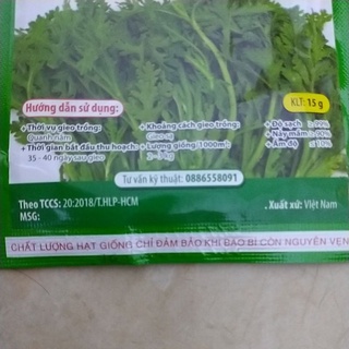Hạt giống rau cải cúc (tần ô)