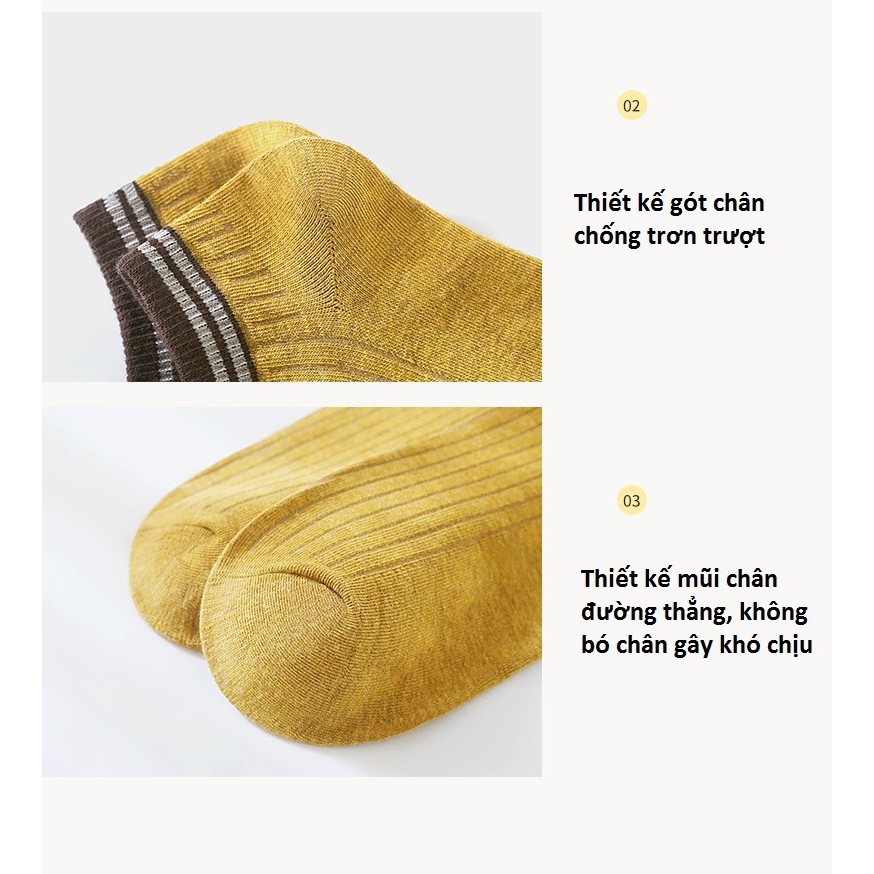 GB229-Combo 2 đôi tất vớ nữ cotton kháng khuẩn Giá 70k