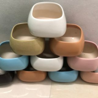 Chậu sứ trồng cây