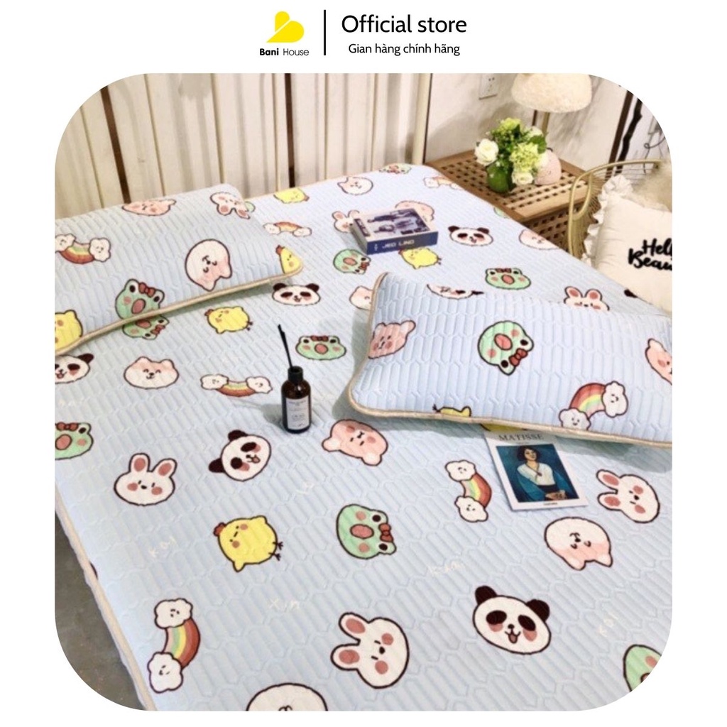🌈 FREESHIP 🌈Chiếu điều hoà tencel 1m6x2m - Bani House