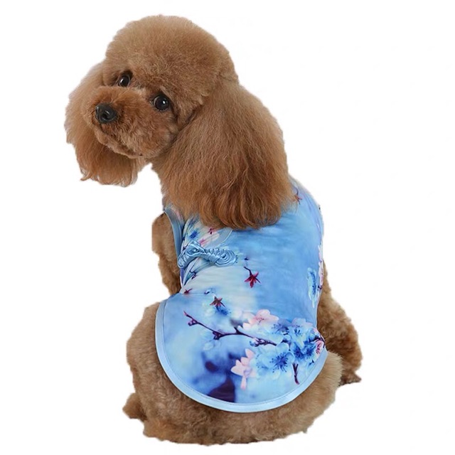 ÁO CỔ TRANG DÀNH CHO THÚ CƯNG PHONG CÁCH SỪNG XÁM