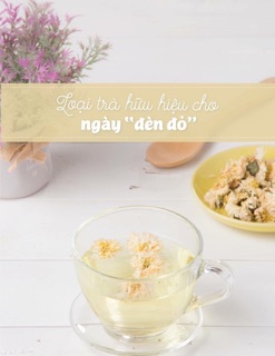 Trà hoa cúc trắng