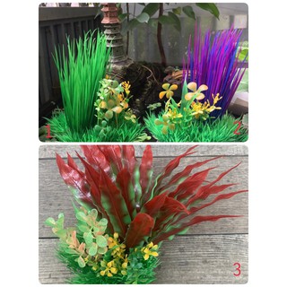 [ Chọn mẫu] [BỤI RONG CỎ LÁ DÀI TRANG TRÍ HỒ CÁ-HÒN NON BỘ.