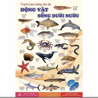 Bộ Tranh Treo Tường Cho Bé