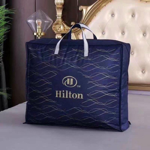 ( Hàng Nhập Khẩu ) Ruột Chăn Hilton Lông Vũ Siêu Nhẹ Hàng Chính Hãng Kích Thước 2m x 2m3