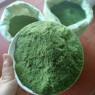 BỘT THẠCH LÁ THẠCH GĂNG