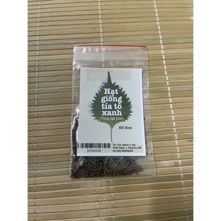 Hạt giống tía tô xanh Nhật Bản (vừng ngà hooc)