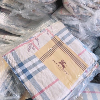 Chăn đũi hè  kẻ bubery_QK335