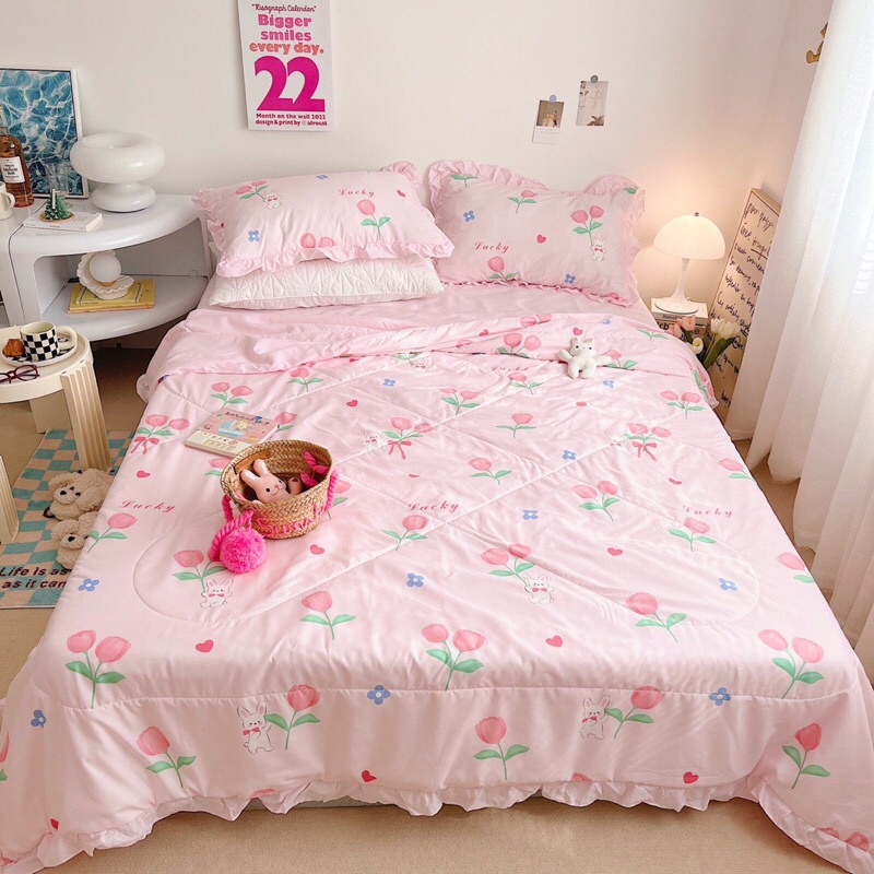 Set chăn ga cotton đũi bèo Hàn Quốc