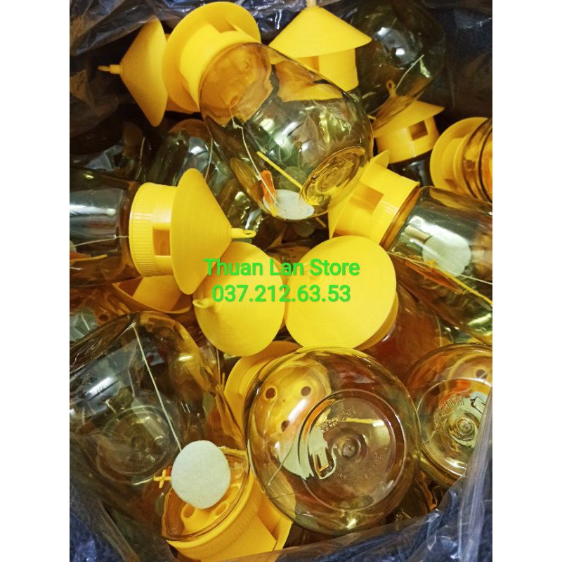 Bẫy Ruồi Vàng Có Kèm Túyp Thuốc Dụ