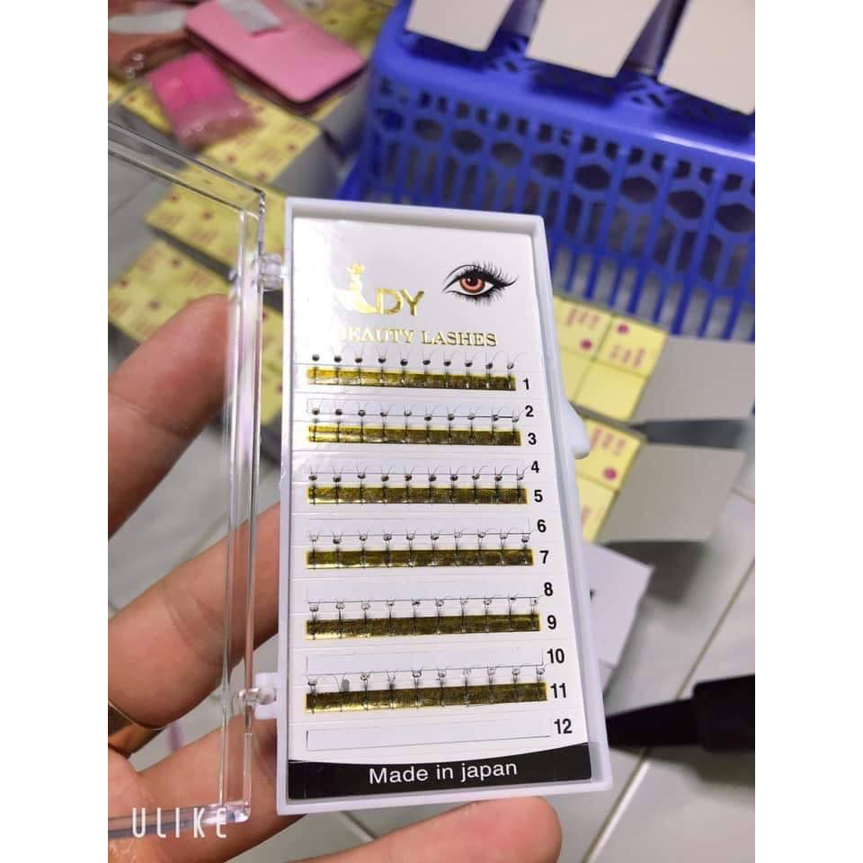 Mi Đá, Mi Lady Beauty Lashes - Lẻ 1 Khay