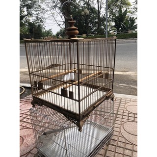 lồng đấu chào mào gỗ muồng