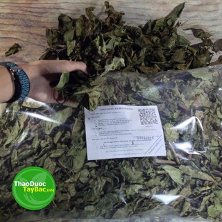 [FreeShip] Cây Xạ Đen - Hàng Rừng