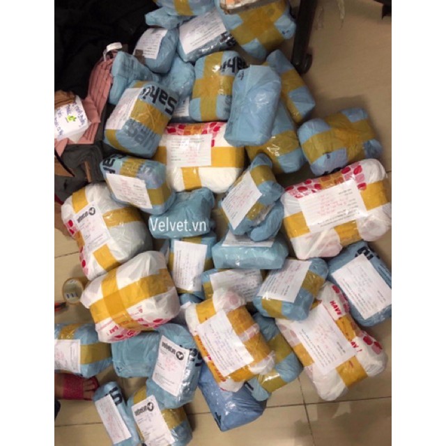 Áo croptop cutout AGE2X hàng VNXK chất cotton mịn các màu Đỏ đô/ Xám/ Xanh lính/ Hồng nude/ Trắng/ Đen | BigBuy360 - bigbuy360.vn