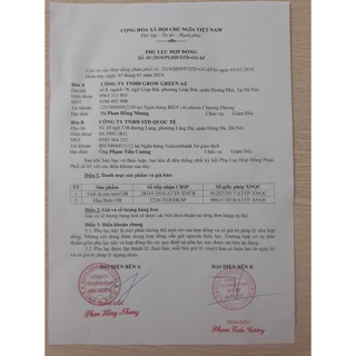 HÀU BIỂN OB (Cam kết chính hãng 100%)