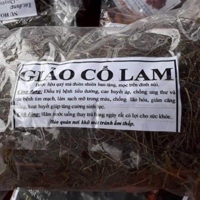 Giảo cổ lam