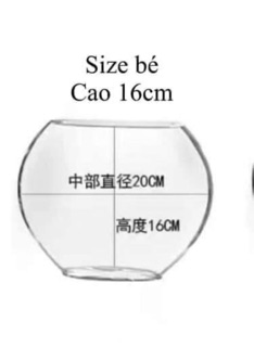 Bình thuỷ tinh dáng oval