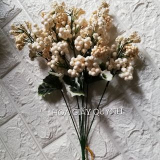 CDHHX- Cành điểm hoa hạt xốp