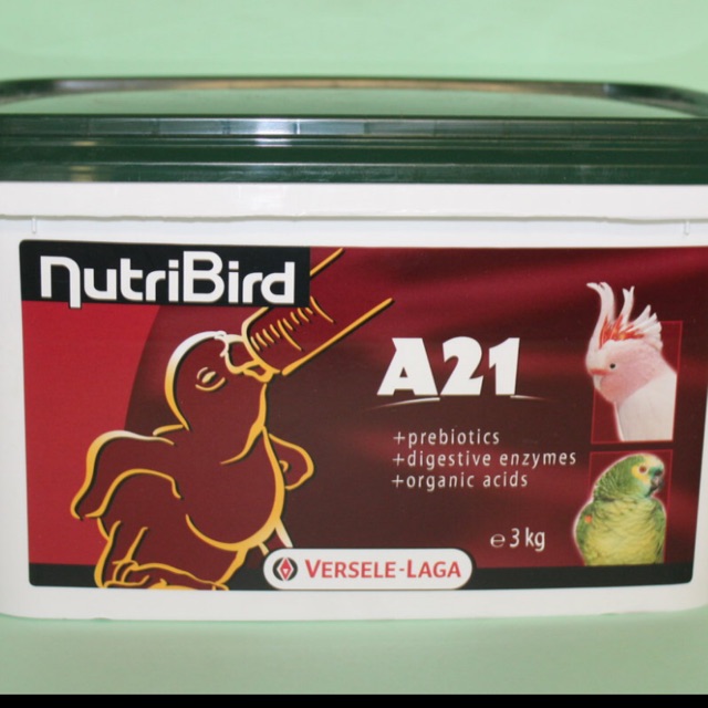 Bột sữa dành cho chim Vẹt gói 100g