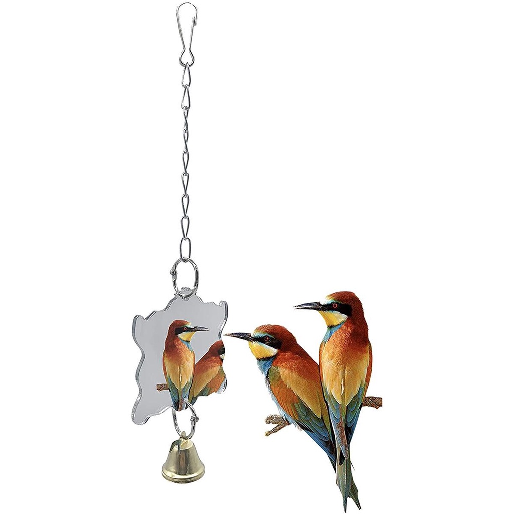 Bộ Đồ Chơi Đứng Bằng Gỗ Kèm Chuông Vui Nhộn Dành Cho Vẹt