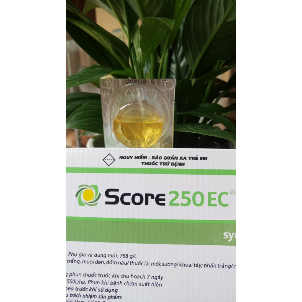 Score 250EC- Thuốc đặc trị nấm, phấn trắng, mốc sương cho cây trồng