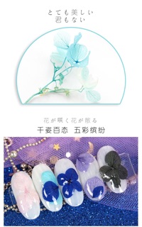 Hoa khô nhiều màu sắc đắp ẩn trang trí móng nail-ĐỒ NAIL VIỆT