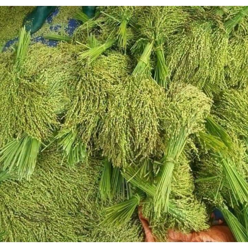 1Kg Cốm xanh Tây Bắc ngon
