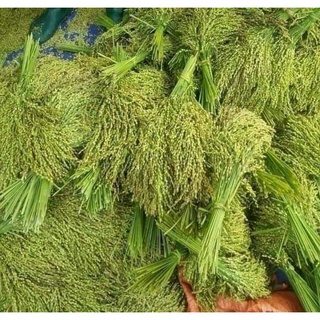 1Kg Cốm xanh Tây Bắc ngon
